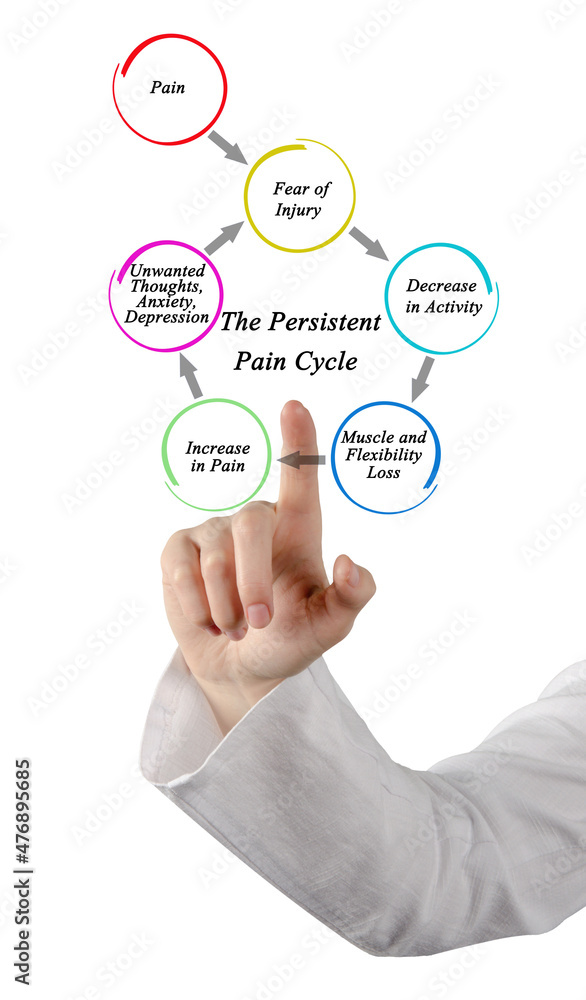 Components of Persistent Pain Cycle Components of Persistent Pain Cycle