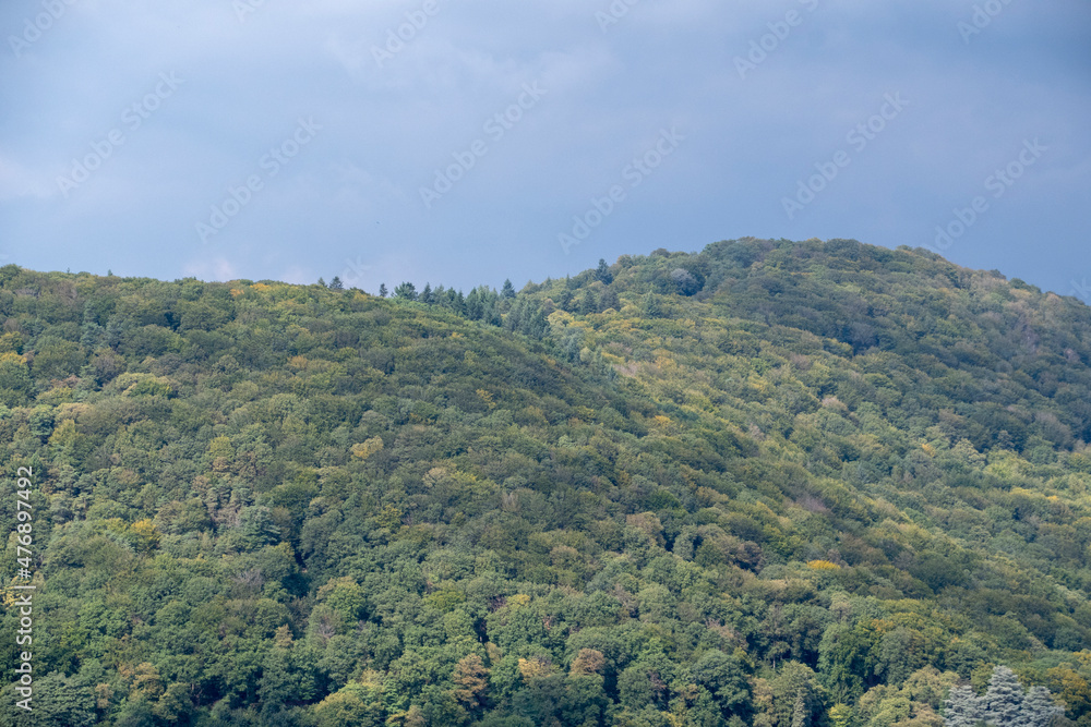 Landscape of Heidelberg mountain covered in trees in Baden Wurttemburg Germany