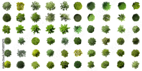Big Collection of 3D Top view Green Trees Isolated on white background , Use for visualization in architectural design or garden decorate photo