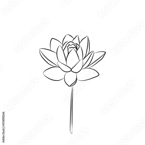 The lotus flower is drawn with a line. Water lily isolate. Doodle drawing lotus for invitations, stamps or business cards