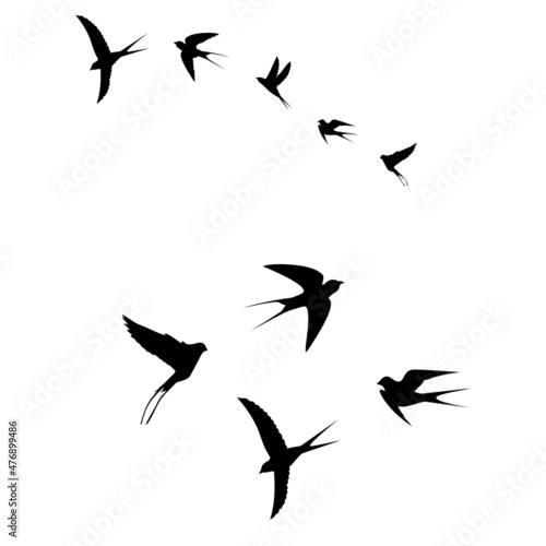 birds are flying in a flock  black icon
