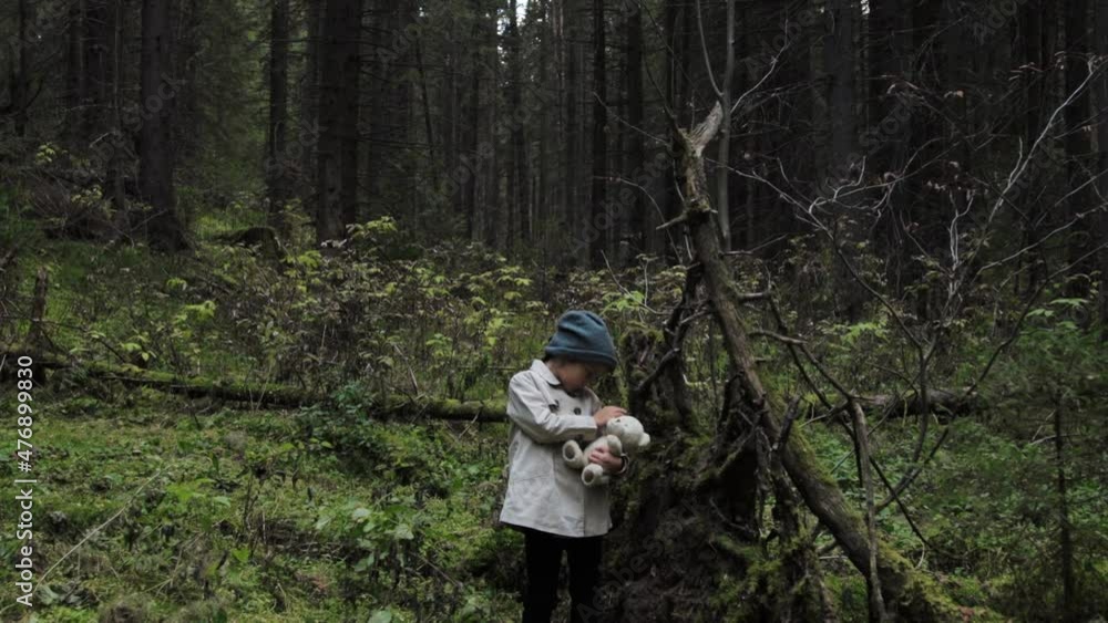 Little girl with teddy bear alone in a forest Stock Video | Adobe Stock