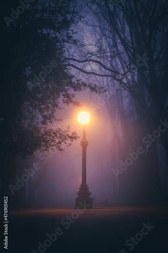 Lantern in the fog in the park at night 