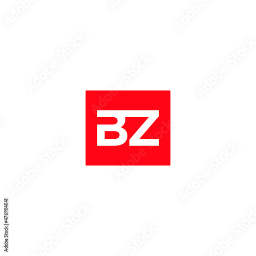 BZ Modern SImple House Logo Design Vector