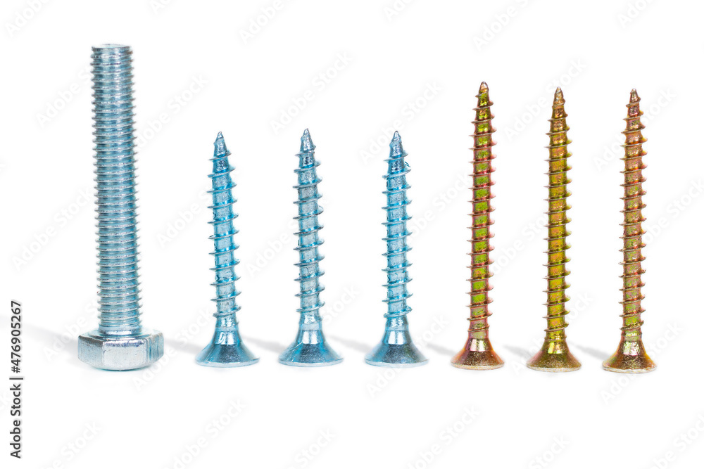 one silver bolt and six screws in row, team leader or different concept one silver bolt and six screws in row, team leader or different concept