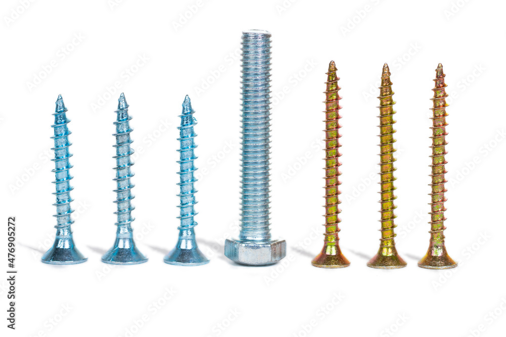 one silver bolt and six screws in row, team leader or different concept one silver bolt and six screws in row, team leader or different concept