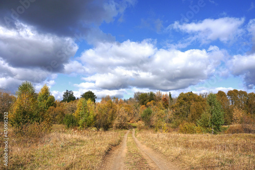 an empty country road in an autumn forest  beautiful white clouds in a blue sky  the nature of Russia 