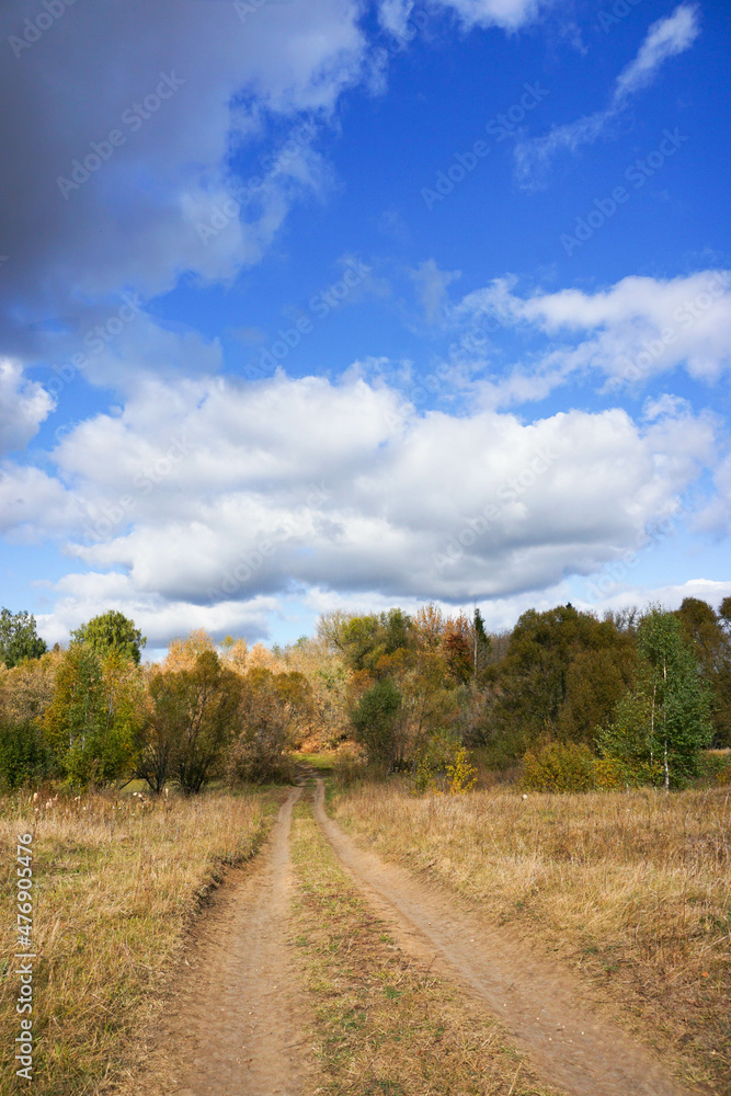 an empty country road in an autumn forest, beautiful white clouds in a blue sky, the nature of Russia