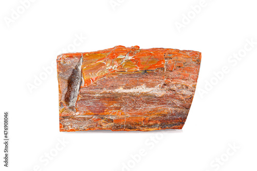 macro stone mineral petrified wood on a white background photo