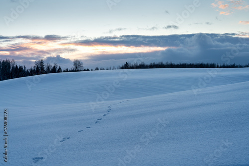 winter landscape with snow © talavietis