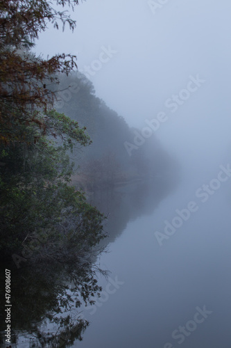 Foggy morning at the lake.