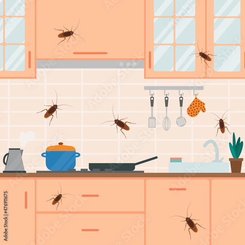 Cockroaches live and crawl in the kitchen, insects in the house.