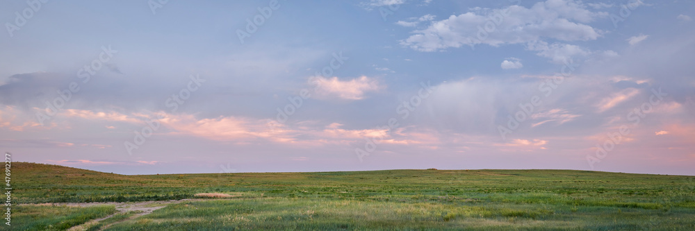 Fototapeta premium dusk over green prairie - Pawnee National Grassland in Colorado, late spring or early summer scenery, panoramic web banner