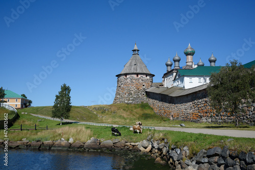View on Solovetsky Monastery