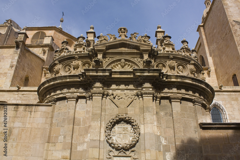 Fragment of Cathedral Church of Saint Mary in Murcia, Spain	