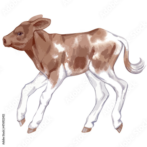  Vector illustration of baby cow.