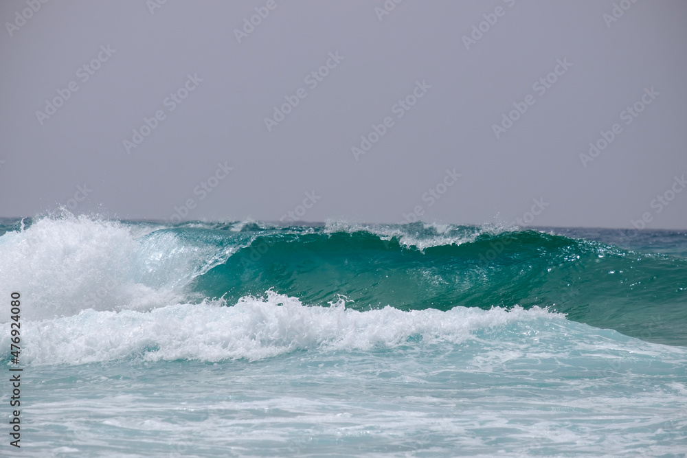 Fototapeta premium View of the big blue wave.