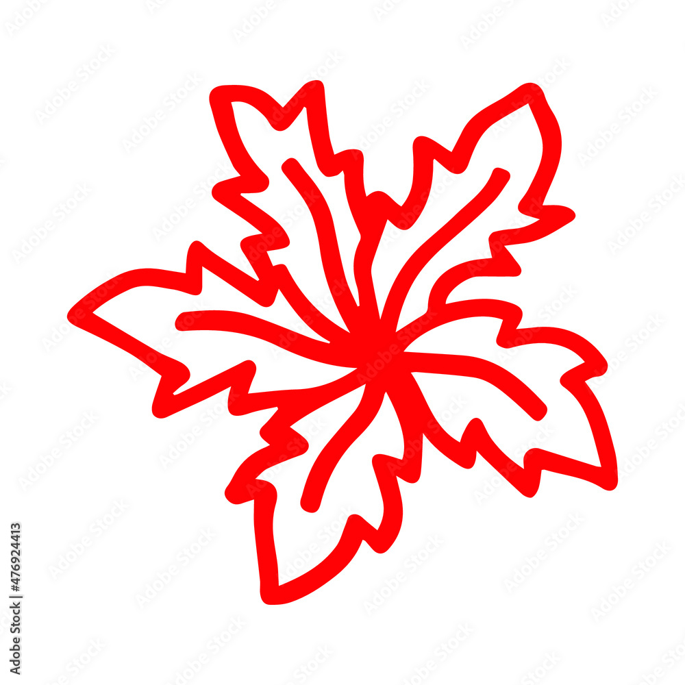 Hand drawn red outline of christmas flower, flat vector, single element, isolate on white background Hand drawn red outline of christmas flower, flat vector, single element, isolate on white background