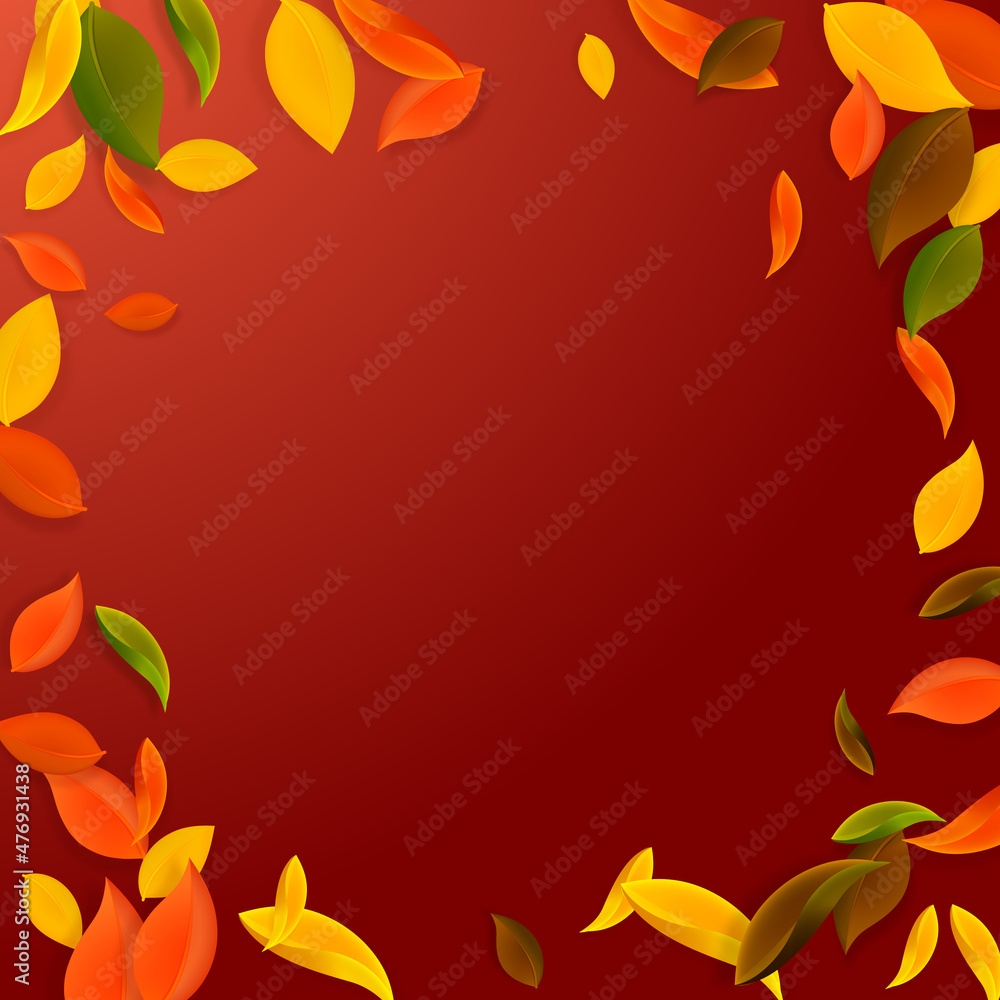 Falling autumn leaves. Red, yellow, green, brown c Falling autumn leaves. Red, yellow, green, brown c