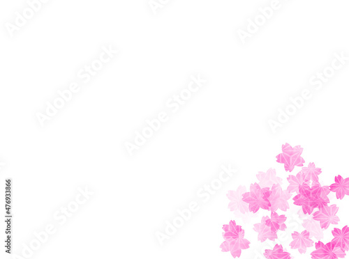 桜の壁紙、フレーム 