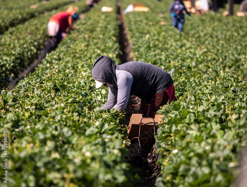 agribiz, agribusiness, agricultural, agriculture, california, covid-19, crop, environment, farm, farm equipment, farm worker, farm workers, farmer, farming, farmworkers, field, field worker, food, foo