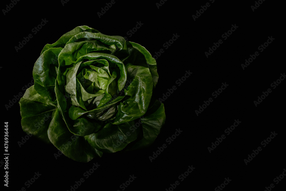 A head of green lettuce isolated on black A head of green lettuce isolated on black