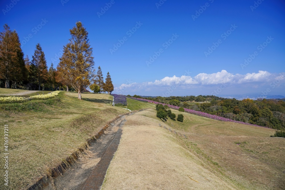 のんびりくつろげるあわじ花さじき公園の秋の情景＠淡路島、兵庫