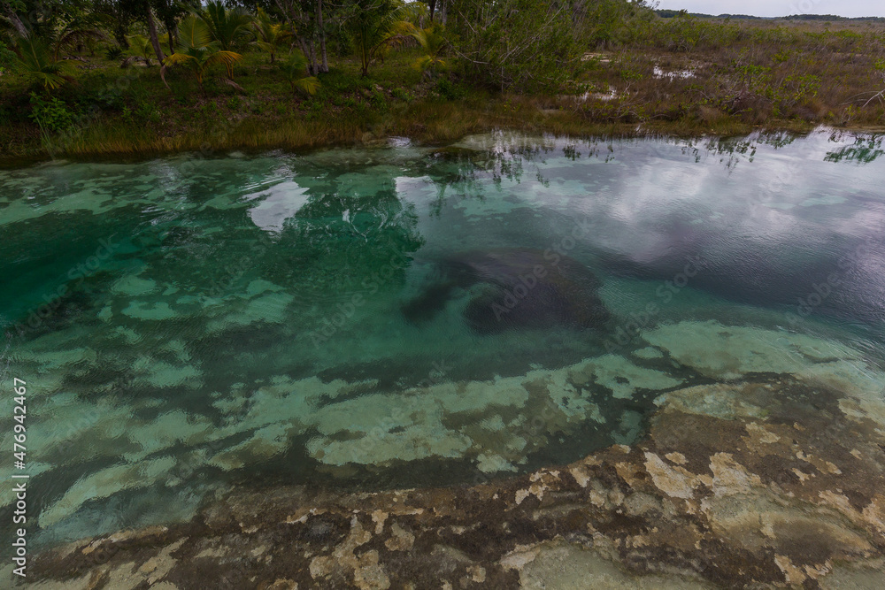 Bacalar rapids stromatolites, Mexico