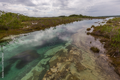 Bacalar rapids stromatolites  Mexico
