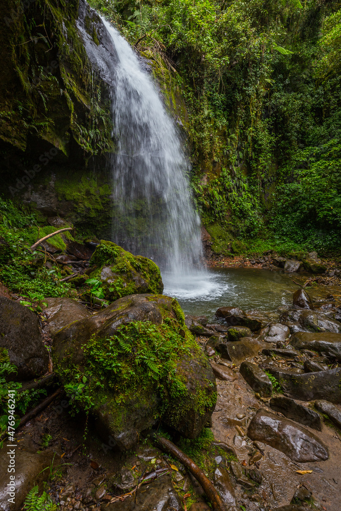Naklejka premium Waterfall in a cloud forest near Boquete, Panama