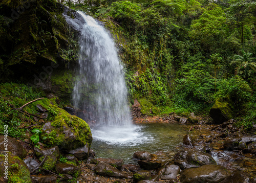 Waterfall in a cloud forest near Boquete  Panama