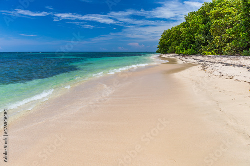 Fototapeta Naklejka Na Ścianę i Meble -  Lush tropical seashore Caribbean sea, Bocas del Toro, Panama