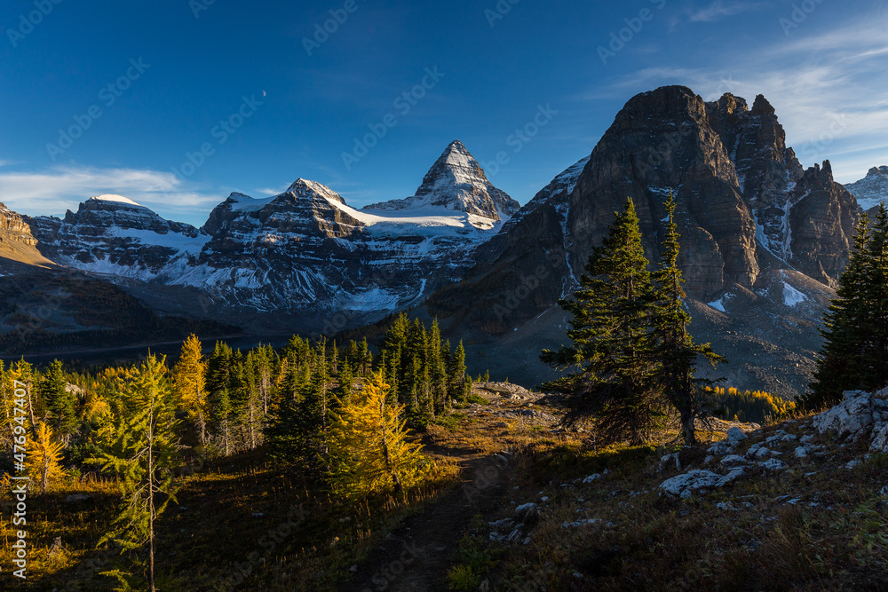 Path to Mount Assiniboine at sunset in larch season
