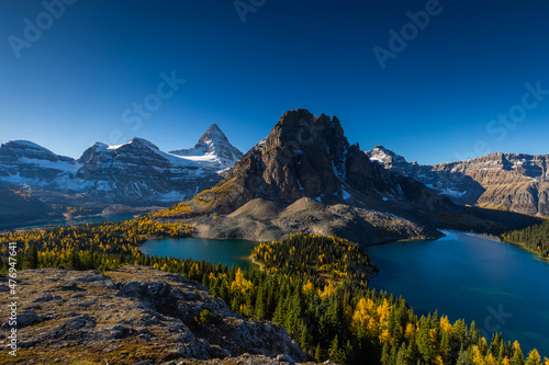 Mount Assiniboine in the morning during larch season from Nub peak