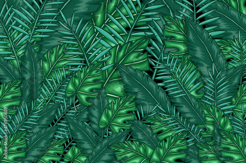 Fototapeta Naklejka Na Ścianę i Meble -  tropical green leaves background. leaves green background vector design. abstract leaves background