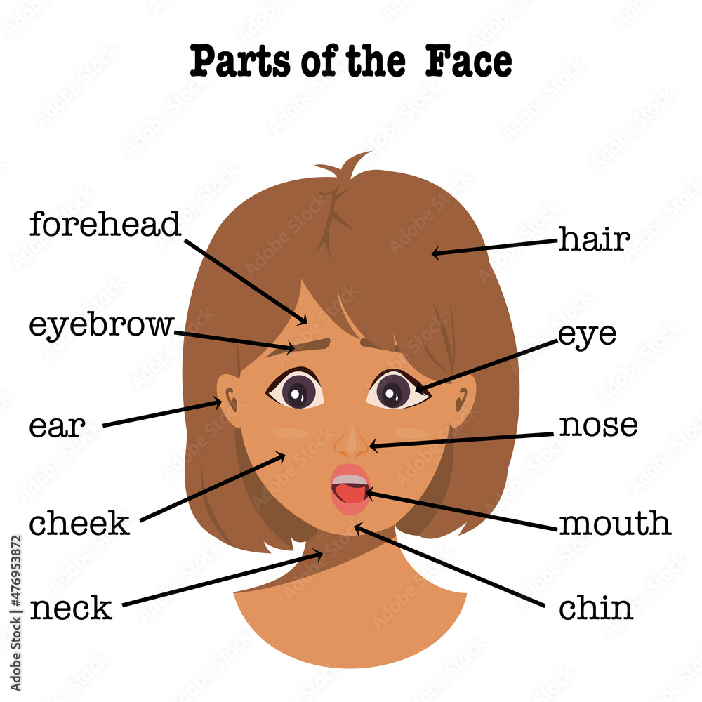 Fototapeta premium Part of the face young woman has brown short hair with text details on white background.Vector isolate flat design of cartoon cute girl surprising concept for kids education or first English learning.