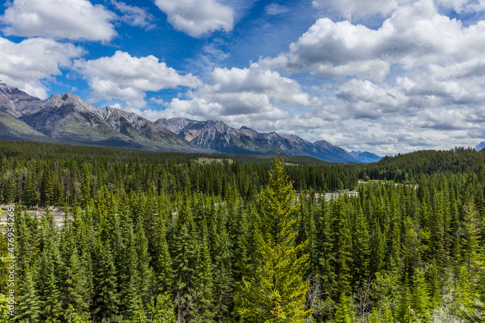 Bow river valley Bow river valley