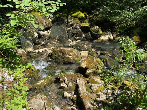 Source of the river Gerovčica, Zamost - Region of Gorski kotar, Croatia (Izvor rijeke Gerovčice ili vrelo rječice Gerovčice, Zamost - Gorski kotar, Hrvatska) photo