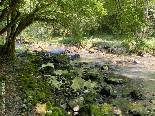 Small mountain river Gerovčica, Zamost - Region of Gorski kotar, Croatia (Mala gorska rijeka Gerovčica ili goranska rječica Gerovčica, Zamost - Gorski kotar, Hrvatska) photo