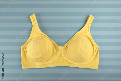 Woman's Beautiful Bra Isolated on blue background 