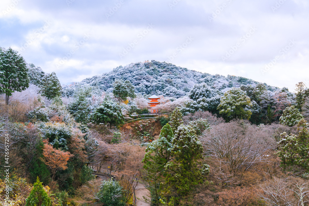 Obraz premium Winter scenery