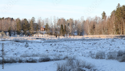 Canvas Print winter landscape