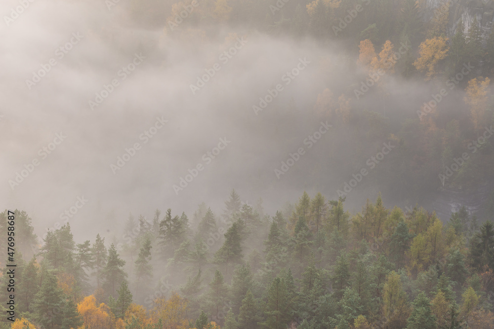 Sunrise in autumn foggy valley near Bastei Sunrise in autumn foggy valley near Bastei