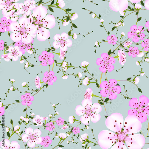 Wallpaper Mural Seamless background pattern of branches pink Japanese cherry flower on gray background in a random arrangement square format. Sakura flowers texture, EPS 10 vector Torontodigital.ca