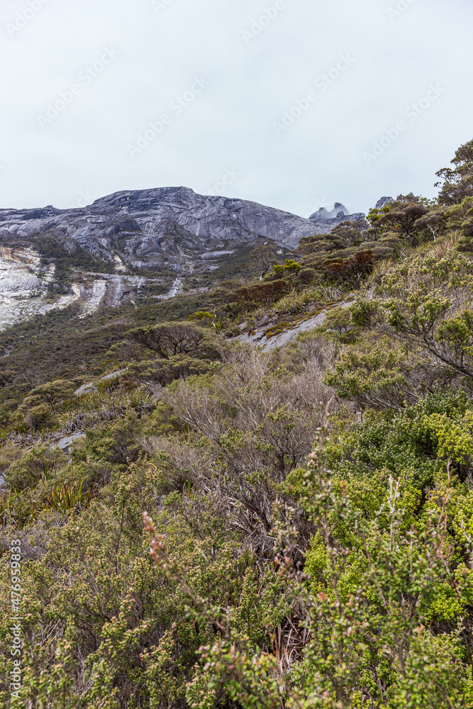 View from the trail to the top of Mt. Kinabalu View from the trail to the top of Mt. Kinabalu
