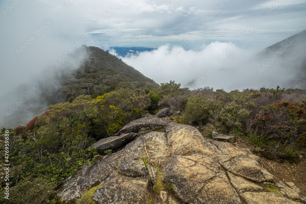 Trail to the top of Mt. Kinabalu on a cloudy day Trail to the top of Mt. Kinabalu on a cloudy day