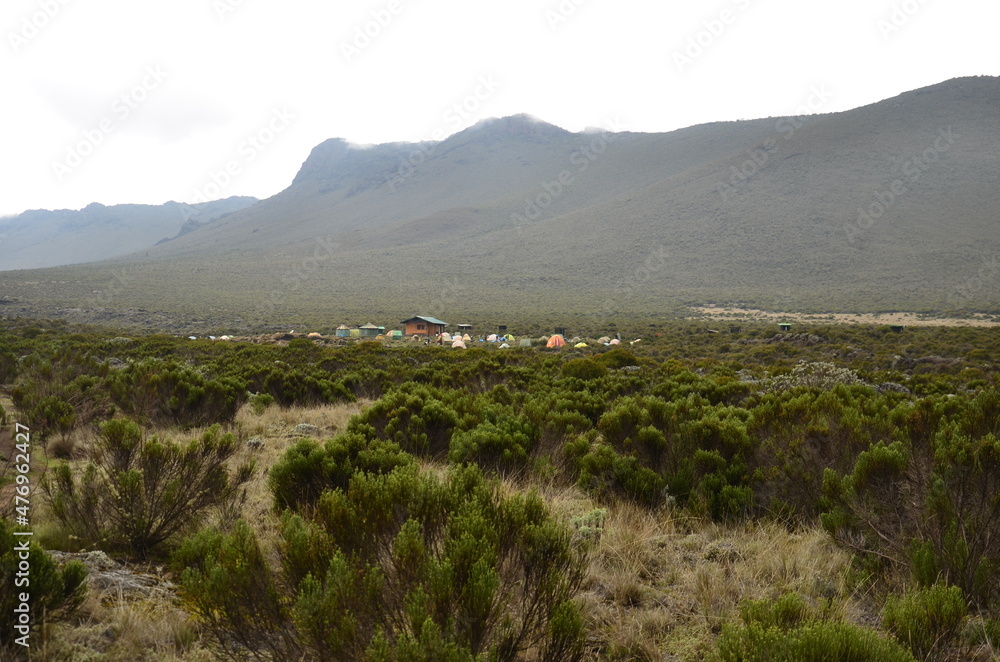 Fototapeta premium Shira camp kilimanjaro. cloudy panorama landscape in front of the kilimanjaro.Trekking in Africa.highest point of africa