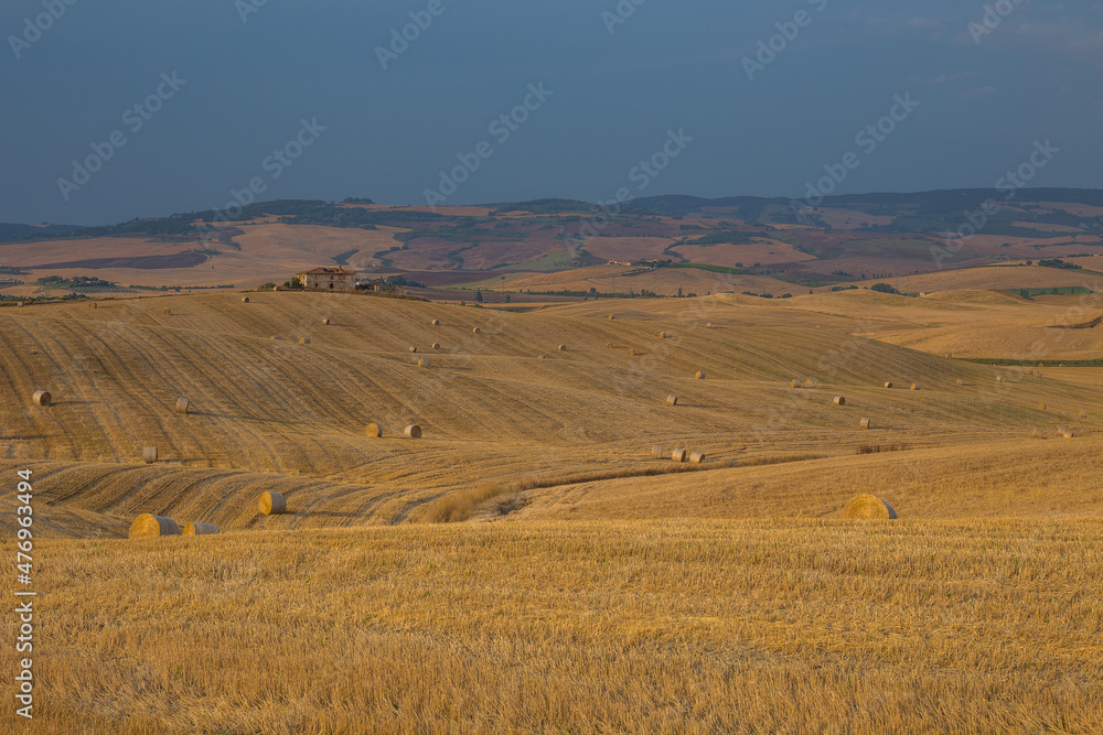 Obraz premium Tuscany