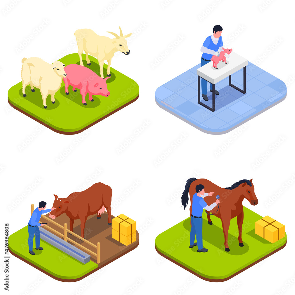 Farm Animals Veterinary Isometric Icon Set Farm Animals Veterinary Isometric Icon Set