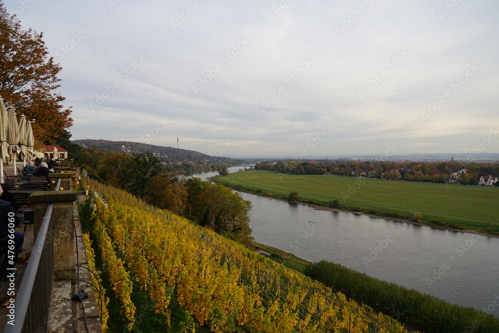 Blick von einem Weinberg auf die Elbe in Dresden
